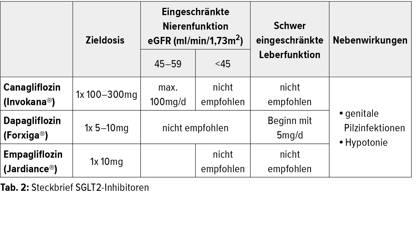 Initiale Therapie Des Typ-2-Diabetes – Ein Überblick - Endokrinologie ...